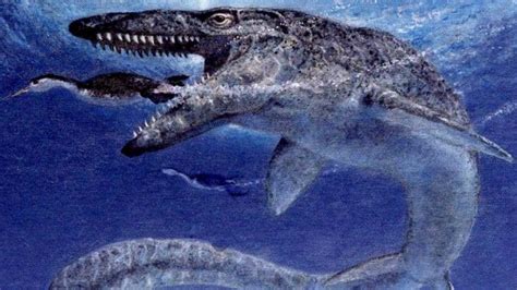 Pada artikel ini saya tambahkan 2 poin yaitu warna pink dan ungu, kedua warna tersebut. 900+ Gambar Dinosaurus Warna Paling Keren - Infobaru