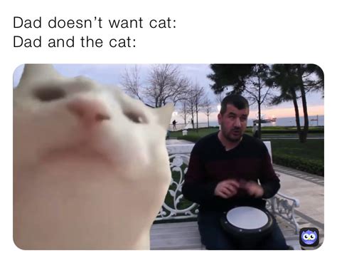 Dad Doesnt Want Cat Dad And The Cat Msjoke Memes