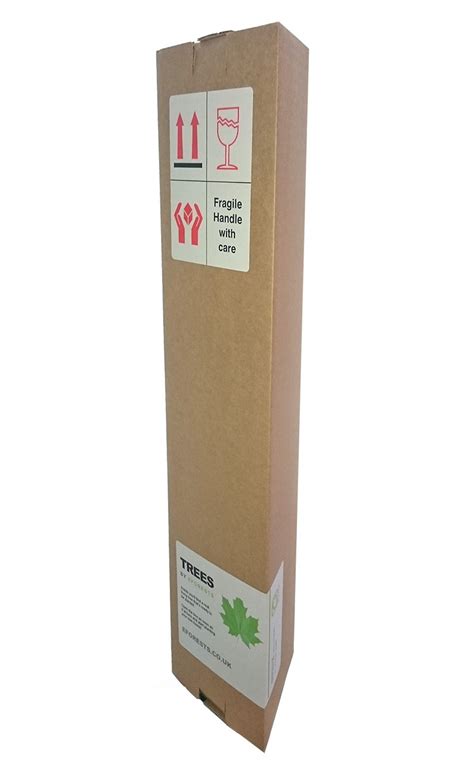 grey willow pussy willow tree t delivered to your door for £21 99 eforests co uk