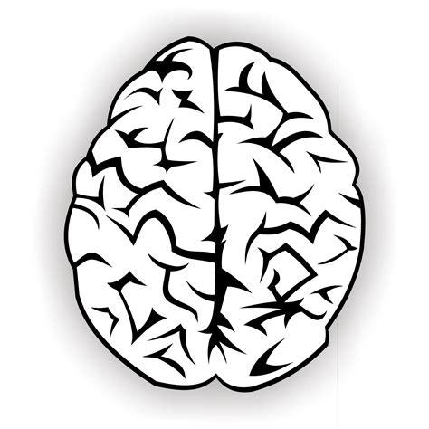 Human Brain Outline Clipart Best