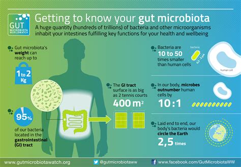 Gut Microbiota Worldwatch The Largest Information Ecosystem About Gut