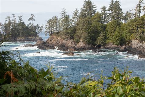 Visiting Ucluelet Bc Vancouver Island Vancouver Island Ucluelet