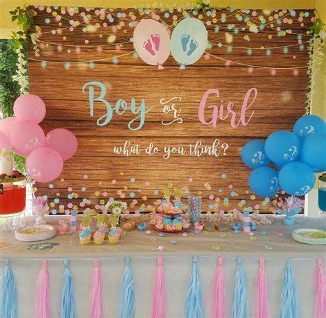 Mocsicka Boy Or Girl Gender Reveal Backdrop Pink Or Blue Gender Reveal