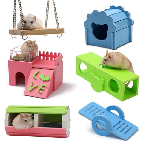 Hamsters originate from dry, arid, temperate places. Syrian hamster nest house for the winter to keep warm and ...