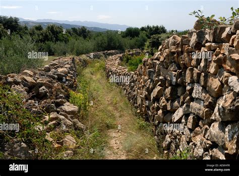 Stoney Road In Rab Island Croatia Stock Photo Alamy