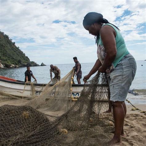 ¿cuáles Son Las Contribuciones De Las Mujeres En La Pesca Ciep Ucr
