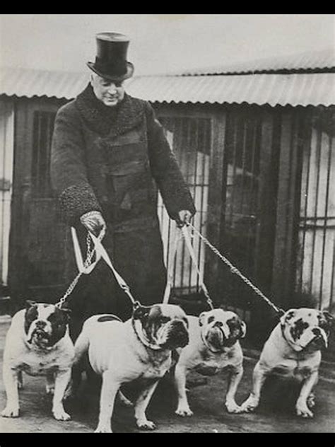 Churchill And His Bulldogs Bulldogs Dog Training Easiest Dogs To
