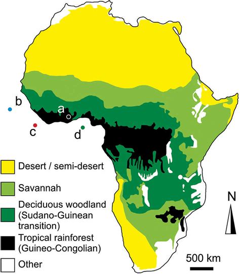 Ivot Lenstv V Daje African Rainforest Map Bl Hov Primitivn Genealogie