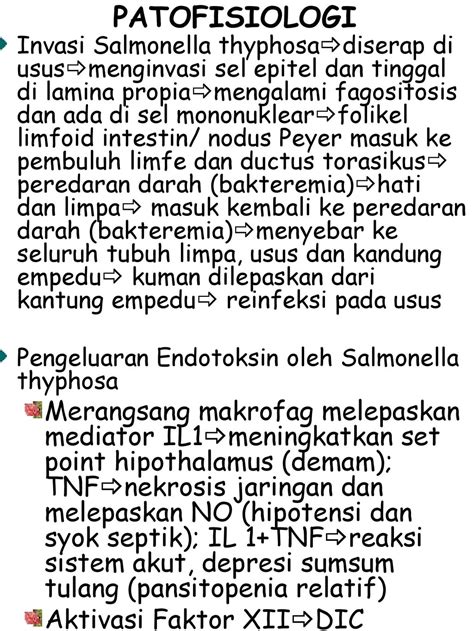 TIFUS ABDOMINALIS Demam Thyfoid Adalah Penyakit Menular Yang Bersifat Akut Yang Ditandai Dengan