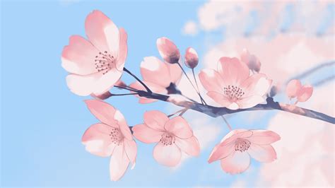 Cherry Blossom Pink Flowers Anime Plants 1920x1080 Wallpaper