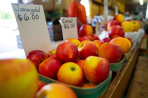 Market Basket business news in South Bend, IN | South Bend Tribune