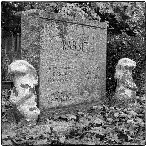 Amawalk Hill Cemetery A Rabbit Or Three Photography Images And Cameras