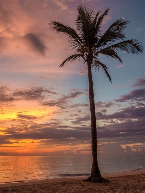 Sunrise Punta Cana Dominican Republic Picture Image 88190425