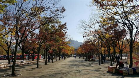 Eattravelrepeat Korea Seoul Grand Park Autumn