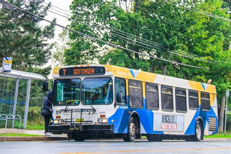 Halifax Transit On Twitter Icymi Hfxtransit Will Be Running Regular