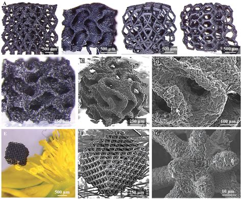 Researchers Develop Novel Method To Produce 3d Printed Graphene Oxide