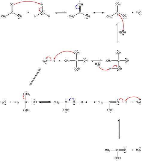 Fischer Esterification Chemistry Libretexts