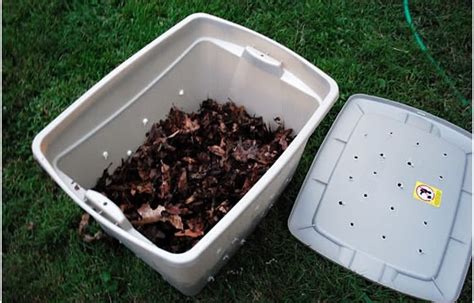 Mouldy coffee grounds are a breeding ground for bacteria you don't want in your garden, so don't use those. In the Little Yellow House: Going Green: Composting