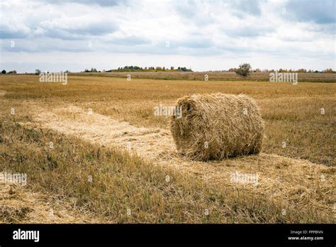 Nature And Dry Agriculture Hi Res Stock Photography And Images Alamy