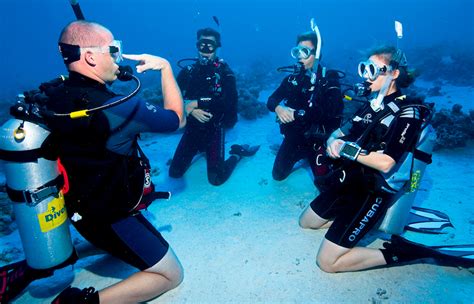 Padi Scuba Diver Squalo Divers Scuba Diving Cancun