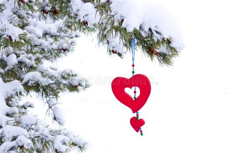 Isolated Snowy Christmas Tree Red Heart Decoration Stock Photo Image
