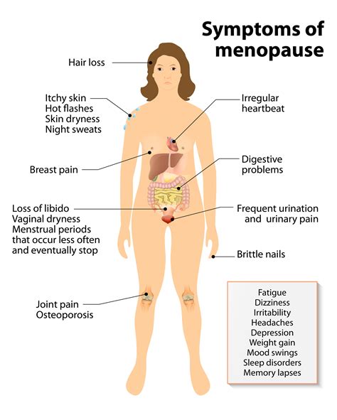 Symptoms Of Menopause Hot Flashes And Night Sweats How Long Will They