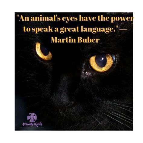 An Animals Eyes Have The Power To Speak A Great Language ― Martin