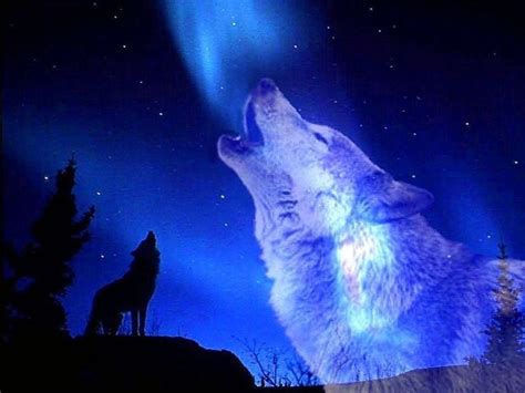 Anime Wolf Howling At The Moon Wallpapers Wolf Wallpaperspro