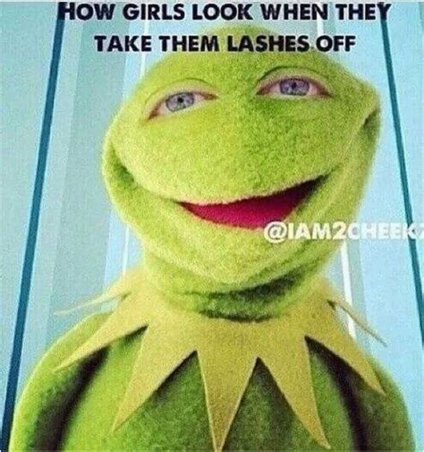 Kermit The Frog Birthday Meme 63 Best Comedy Kermit Memes Images On