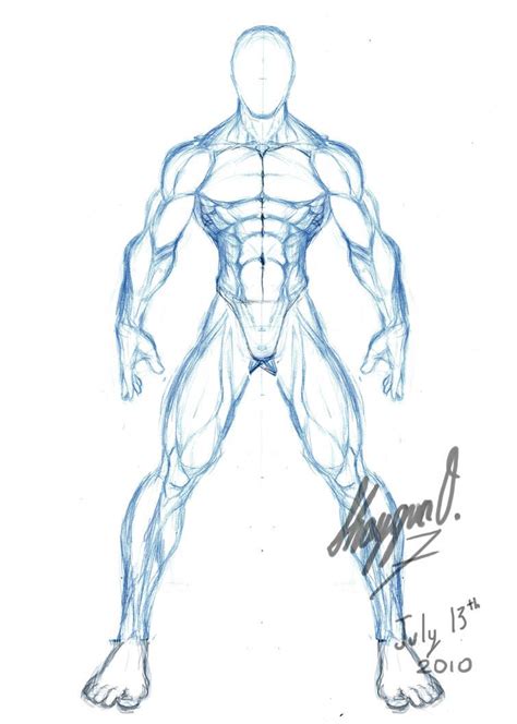 Male Anatomy Template Front By Shintenzu On Deviantart Body