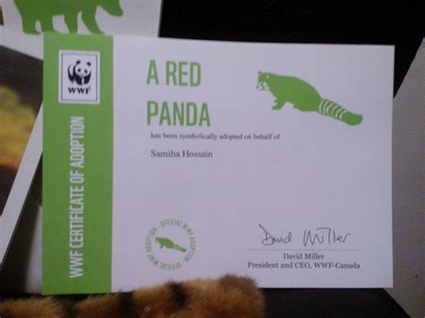 The Haven Of A Wanderluster Wwf Red Panda Adoption Kit