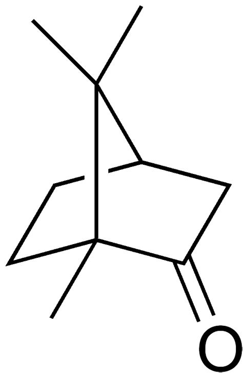 Filecamphor Structurepng Wikipedia