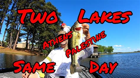 Bass Fishing Lake Palestine And Athens In Same Day Youtube