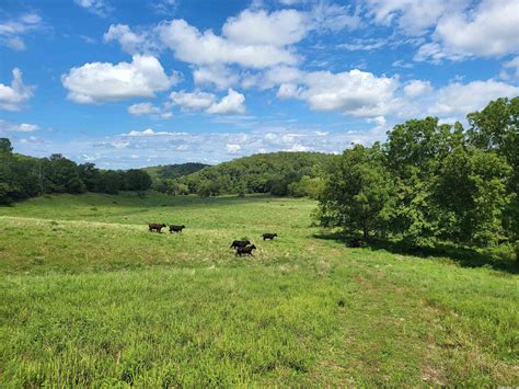 274 acres in Searcy County, Arkansas