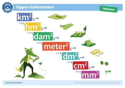 De Oppervlakte Berekenen 1