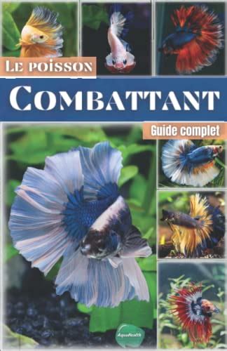 Le Poisson Combattant Guide Complet Pour Aquariophiles Débutants