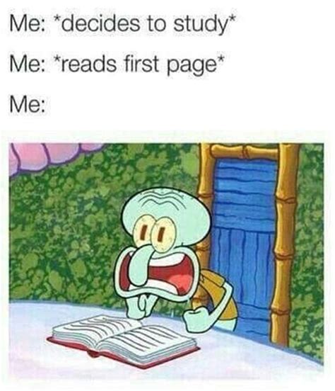 Share these hilarious funny student memes now! 9 STRESS Relieving Finals Memes For Agitated Students | Student memes, Student life funny ...