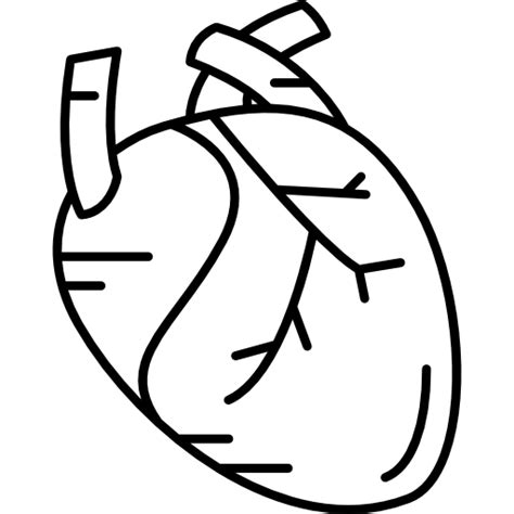 Corazón Humano Icono Gratis