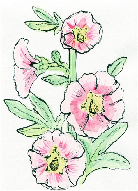 Flower Drawings Embletree