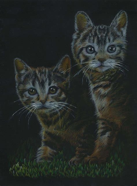 Cute Kitten Kittens Fan Art 12928899 Fanpop