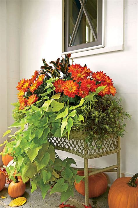 88 Amazing Fall Container Gardening Ideas 16