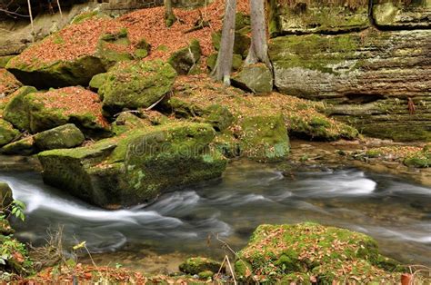 Autumn River With Stones Stock Image Image Of Outdoor 35376919