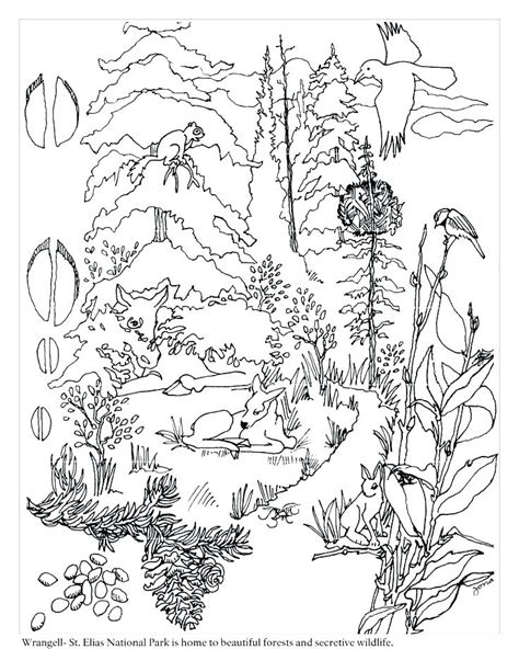 Tundra Animals Coloring Pages At Free