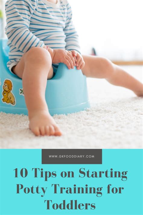 Potty Train Your Toddler In 3 Steps What To Do And What Not To Do
