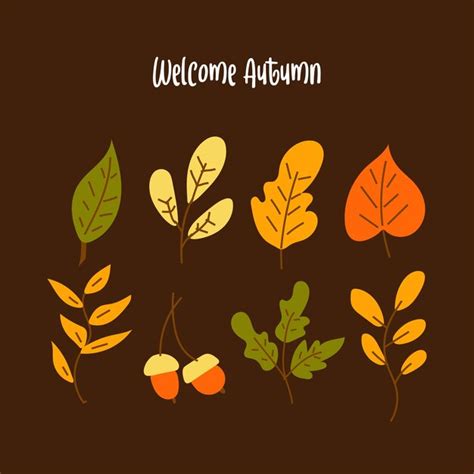 Premium Vector Hand Drawn Autumn Leaves Collections