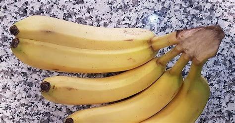 Two Bananas One Peel Rmildlyinteresting