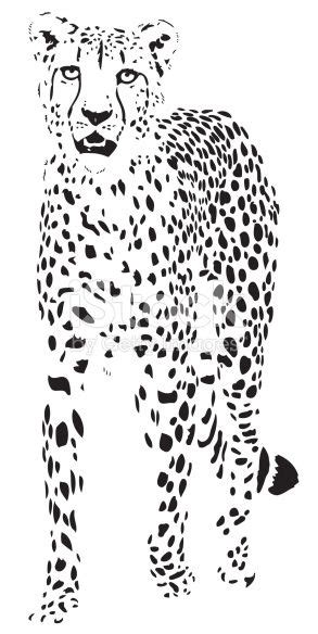 Beautiful Cheetah Portrait Illustration In Black Lines Animal Stencil