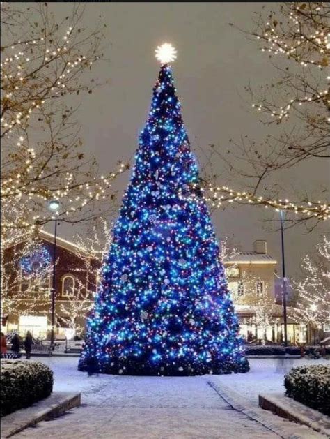 A Large Blue Christmas Tree In The Middle Of A Park At Night With