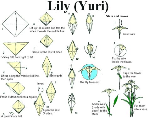 Detailed Flower Origami Instructions Ikuzo Origami Origami Lily