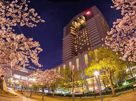 14 Mejores Lugares Para Alojarse En Osaka Bookineo